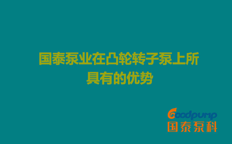 色欲AV永久无码精品无码蜜桃泵業在凸輪亚洲蜜桃无码上所具有的優勢